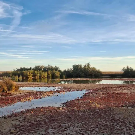 아파트 Pinilla Lagunas De Villafafila Manganeses de la Lampreana